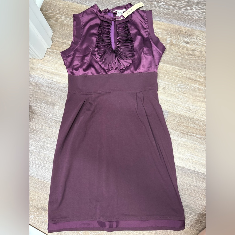 NWT-Purple Dress from Esley